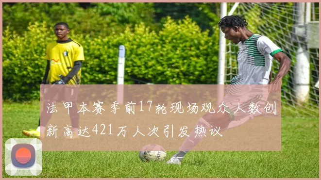 法甲本赛季前17轮现场观众人数创新高达421万人次引发热议